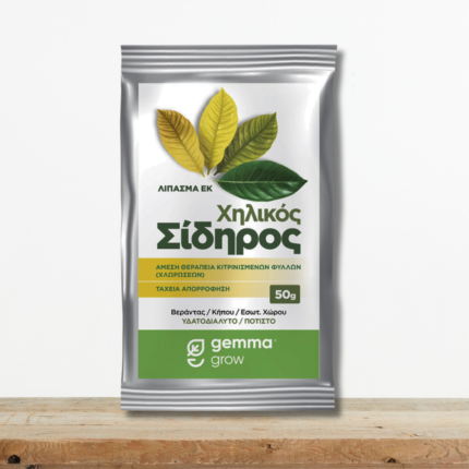 xhlikos-sidhros-eddhsa-skoni-gemma-kitrinisma-fyllwn-gardenia-lemonia-greenculture