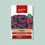 Άλυσσος νάνος μωβ