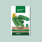 Αγγουράκι για τουρσί