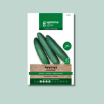 Αγγούρι κοντό