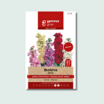 Βιολέτα διπλή γίγας μίγμα