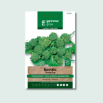 Βρούβα (Μπροκολέτο)