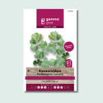 Καυκαλήθρα