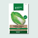 Κινέζικο λάχανο