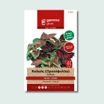 Κολεός (Ωραιόφυλλο) μίγμα