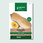 Κολοκύθα γλυκιά