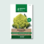 Κουνουπίδι όψιμο κωνικό