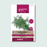 Κόλιανδρος