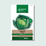 Λάχανο όψιμο