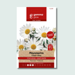 Μαργαρίτα γίγας λευκή