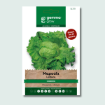 Μαρούλι iceberg Great Lakes