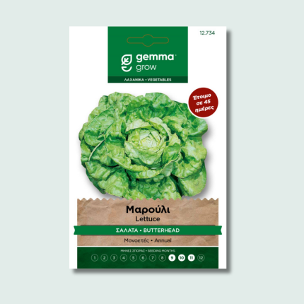 Μαρούλι σαλάτα