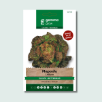 Μαρούλι σαλάτα βιολετί