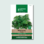 Μαϊντανός κλασικός