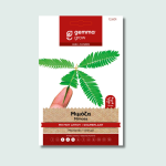 Μιμόζα (Μη μου άπτου)