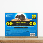 xylini-pagida-aroyraion-me-kolla-aroma-fysikovoytyro-gemma-rodent-trap