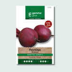 Παντζάρι στρογγυλό Detroit