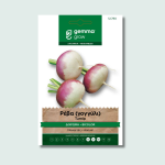 Ρέβα (γογγύλι) δίχρωμη