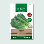 Ραδίκι ήμερο