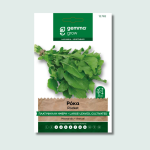 Ρόκα πλατύφυλλη ήμερη