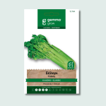 Σέλερι κλασικό