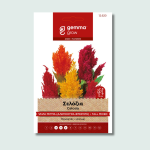 Σελόζια ψηλή μίγμα (Αλεποουρά-Φτερωτή)