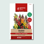 Σκυλάκι κοντό μίγμα