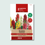 Σκυλάκι ψηλό μίγμα