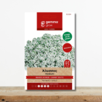 sporoi-alyssos-leykos-nanos-aromatiko-alyso-anthoforia-45-imeres-greenculture