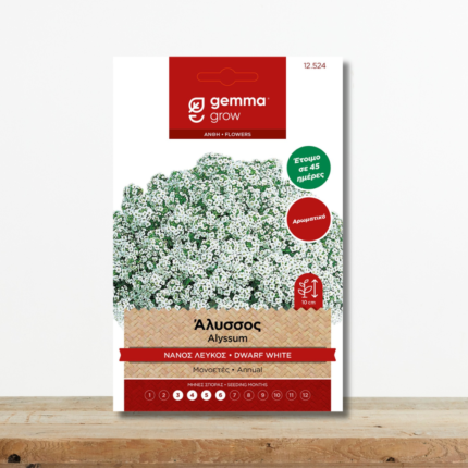 sporoi-alyssos-leykos-nanos-aromatiko-alyso-anthoforia-45-imeres-greenculture