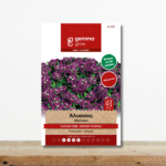 sporoi-alyssos-nanos-mov-aromatiko-anthoforia-45-imeres-greenculture