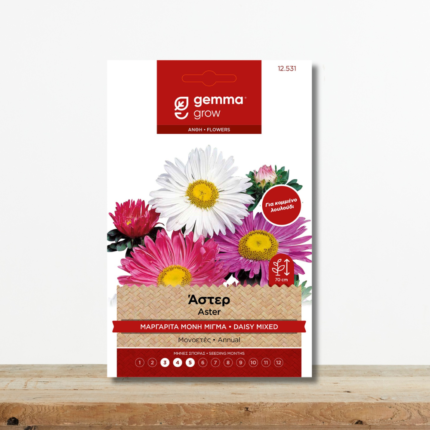 sporoi-aster-margarita-migma-xromaton-gi-anthodesmes-greenculture