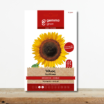 sporoi-hlios-vrosimos-hliosporos-helianthus-annuum-greenculture
