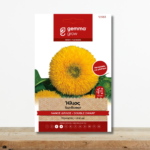 sporoi-hlios-nanos-diplos-helianthus-annuum-glastra-greenculture