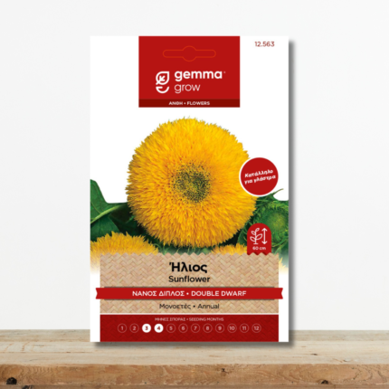 sporoi-hlios-nanos-diplos-helianthus-annuum-glastra-greenculture