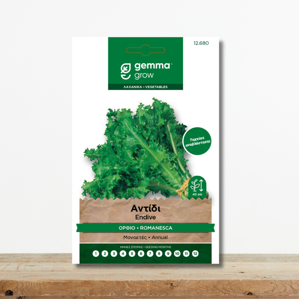 Σπόροι Αντίδι Κατσαρό Όρθιο Romanesca Ταχείας Αναβλάστησης Green Culture sporoi-antidi-katsaro-orthio-romanesca-taxeia-anablastisi-greenculture