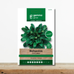 sporoi-valeriana-salata-dolanda-seme-grosso-gemma-greenculture