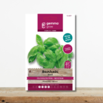 sporoi-vasilikos-italikos-metrios-pesto-ocimum-basilicum-greenculture