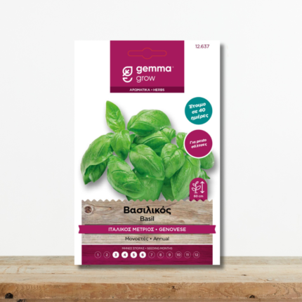 sporoi-vasilikos-italikos-metrios-pesto-ocimum-basilicum-greenculture