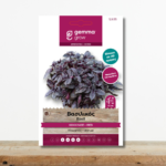 sporoi-vasilikos-kokkinos-miv-ocimum-basilicum-myrodiko-greenculture