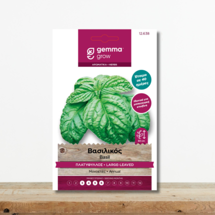 sporoi-vasilikos-platyfyllos-ocimum-basilicum-megala-fylla-greenculture