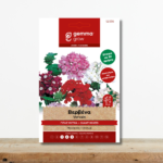 sporoi-vervena-gigas-migma-xromaton-verbena-hybrida-greenculture