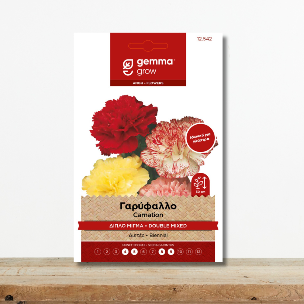 Σπόροι Γαρύφαλλο Διπλό Μίγμα Ιδανικό για Γλάστρα & Βάζο Green Culture sporoi-garyfallo-diplo-migma-xromaton-aromatiko-gemma-greenculture