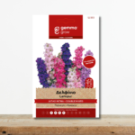 sporoi-delfinio-diplo-migma-xromaton-delphinium-consolida-greenculture