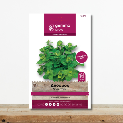 sporoi-dyosmos-mentha-spicata-aromatiko-vontano-mojito-greenculture