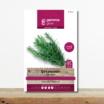 sporoi-estragkon-tartagon-artemisia-dracunculus-aromatiko-vontano-greenculture