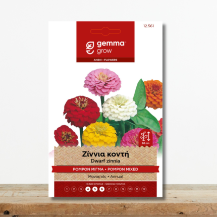 sporoi-zinnia-konti-pompon-migma-xromaton-zinnia-elegans-greenculture