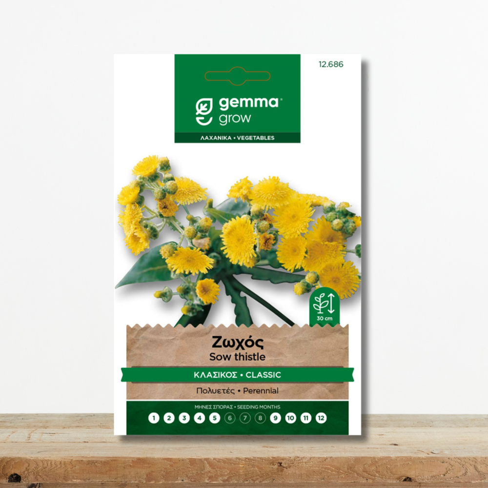 Σπόροι Ζωχός (Classic sow thistle) Παραδοσιακό Χόρτο & Βότανο Green Culture sporoi-zoxos-sonchus-oleraceus-paradosiaka-xorta-greenculture