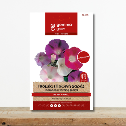 sporoi-ipomea-proini-xara-anarrixomeno-migma-ipomoea-purpurea-greenculture