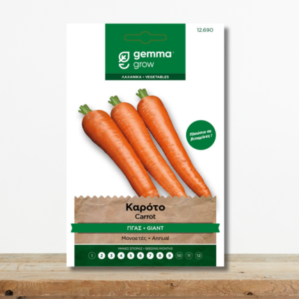 sporoi-karoto-gigas-flakkee-2-daucus-carota-megales-rizes-greenculture